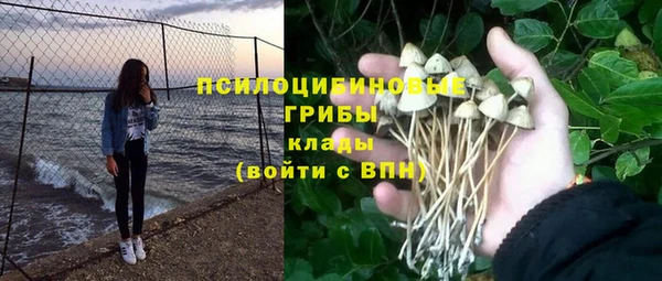 стаф Армянск