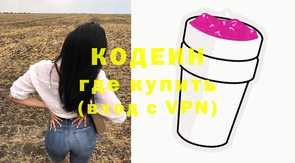 тгк Арсеньев