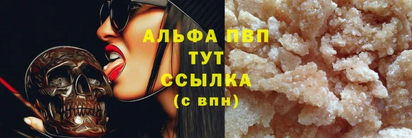 СК Аркадак