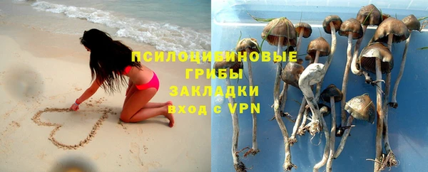 стаф Армянск