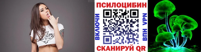 Галлюциногенные грибы Psilocybine cubensis  где найти   Изобильный 